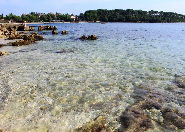 Apartman Apartments With A Parking Space Rovinj - 7095